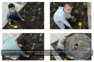 NUESTRO HUERTO DE INFANTIL