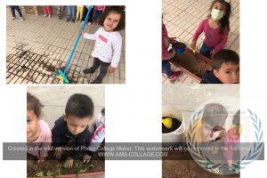 NUESTRO HUERTO DE INFANTIL