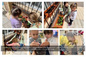 NUESTRO HUERTO DE INFANTIL