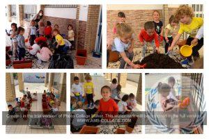 NUESTRO HUERTO DE INFANTIL