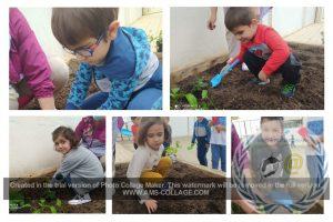 NUESTRO HUERTO DE INFANTIL