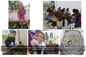 NUESTRO HUERTO DE INFANTIL