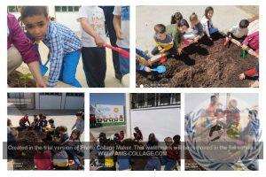 NUESTRO HUERTO DE INFANTIL